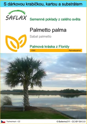 Obrázek produktu pro SAFLAX Dárková sada - palmetto palma - Sabal palmetto - 8 Semena - S dárkovou krabičkou, přepravním štítkem, dárkovou kartou a pěstebním médiem