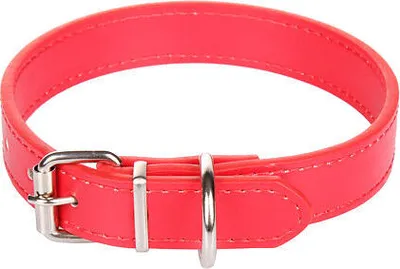 Immagine prodotto di Collare per cani al guinzaglio rosso taglia XS