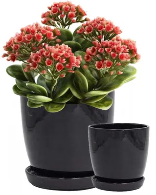 Produktbild von Keramischer Blumentopf mit Sockel schwarz 18 cm