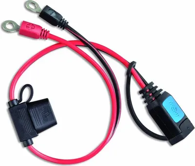 Image de Victron câble de connexion DC M6 oeillets pour chargeurs Blue