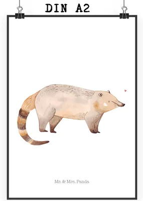 Produktbild von Mr. & Mrs. Panda Poster Nasenbär DIN A2 - Weiß - Geschenk, kunstdruck, Lustige Sprüche, wanddeko, drucke, Nasenbären, Wanddekoration, Rüsselbär, Wandbild, Bär, Bild