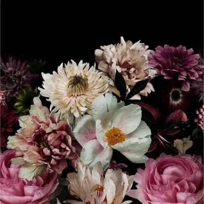 Produktbild von Rasch Tapete 363821 - Fototapete auf Vlies mit Blumen in Rosa und Weiß aus der K