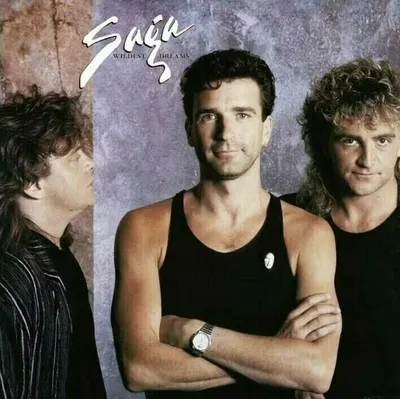 Image de Saga - Wildest Dreams (Remastered) (LP)