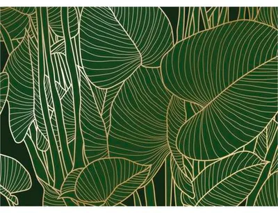 Produktbild von Fototapete Vlies FT5P 3099-061 Blätter grün 375 x 270 cm