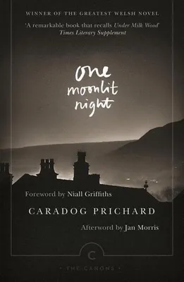 Zdjęcie produktu dla One Moonlit Night