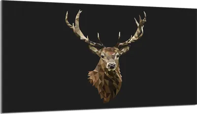 Produktbild von Glasschutzplatte für den Herd 90x52 Hirsch