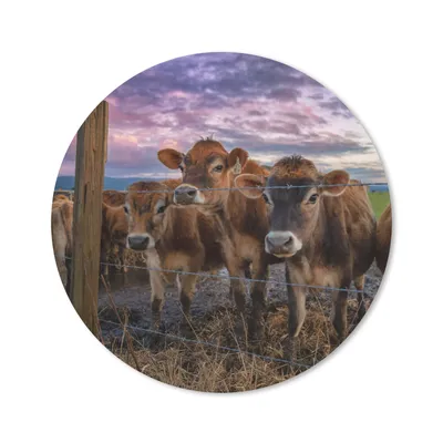 Produktbild von MuchoWow® Mauspad Mousepad Kuh - Zaun - Gras 40x40 cm - Mousepads - Maus Mat - Pad - Mausunterlage - Schreibtisch Accessoires