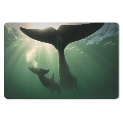 Produktbild von MuchoWow® Schreibtischunterlage Delfin - Wasser - Blau 60x40 cm - XXL Mauspad - Großes Mauspad
