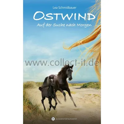 Immagine prodotto di Ostwind 04 - Auf der Suche nach Morgen
