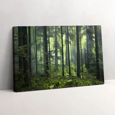 Produktbild von Landschaft mit Bäumen und Waldvegetation – Leinwandbild Wandbild – 30x20 cm – Leinwandbilder – Wandbilder – Schlafzimmer – Flur