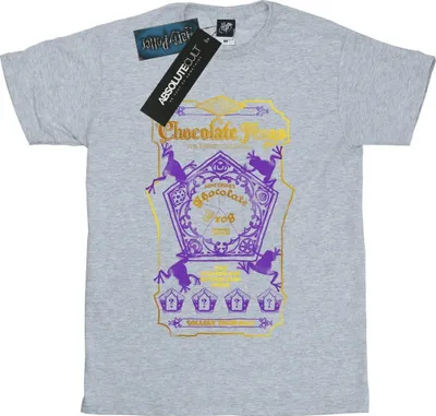 Produktbild von Harry Potter - T-Shirt für Herren BI29141 (S) (Grau)