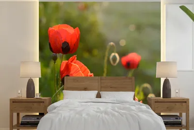 Produktbild von MuchoWow® Fototapete für Wohnzimmer oder Schlafzimmer Wandtapete Vinyl Motivtapete Mohnblumen bei Sonnenuntergang - 350x350 cm - Schlafzimmertapete