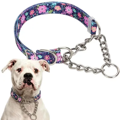 Produktbild von Robustes Martingalhalsband für Hunde mit Kette