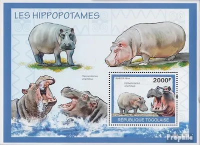 Produktbild von Briefmarken Togo 2010 Mi Block506 (kompl.Ausg.) postfrisch Flusspferde