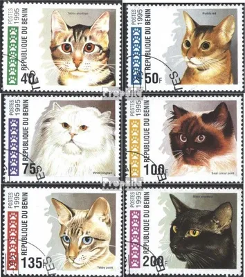 Produktbild von Briefmarken Benin 1995 Mi 668-673 (kompl.Ausg.) gestempelt Katzen