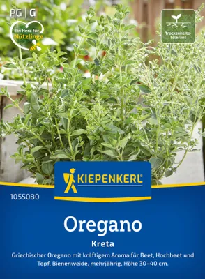 Artikelbild 2 von 'Oregano Kreta' aus der Kategorie Oreganosamen