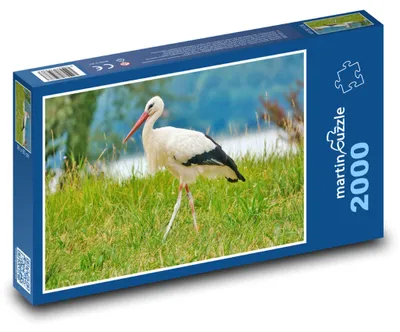 Obrázok produktu pre Puzzle 2000 Bocian na lúke - martinpuzzle