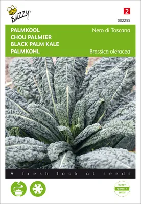 Produktbild von Palmkohl Nero di Toscana | Kohlsamen von Buzzy Seeds