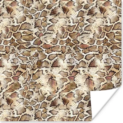 Produktbild von MuchoWow® Poster Schlange - Tiere - Design 30x30 cm - Wandposter - Printing
