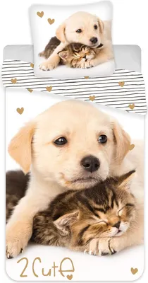 Produktbild von Golden Retriever - Hund & Katze - Wende-Bettwäsche-Set, 135x200 80x80