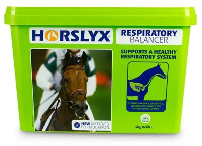 Productafbeelding van HorsLyx Respiratory Balancer 5KG