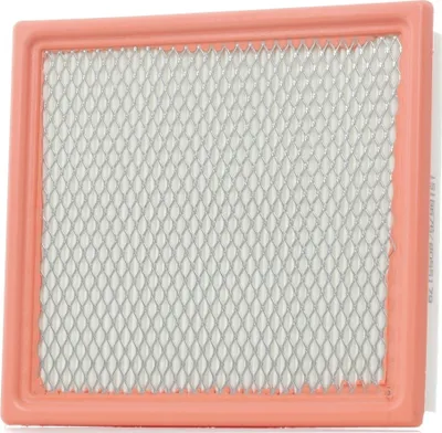 Produktbild von Luftfilter RIDEX 8A0301 für FIAT Freemont (345) Filtereinsatz