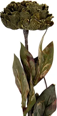 Image de Clayre & Eef Fleur artificielle 10x10x65 cm Vert Plastique
