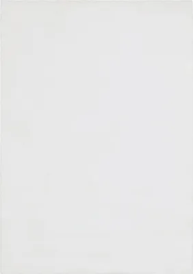 Obrázok produktu pre 80x150 cm Kusový koberec COLOR UNI White