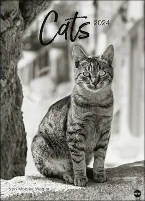Produktbild von Monika Wegler: Cats Edition 2024