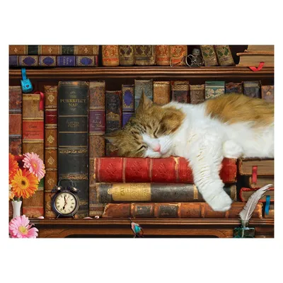 Produktbild von EUROGRAPHICS Cat's Nap Puzzle XL 500 Teile