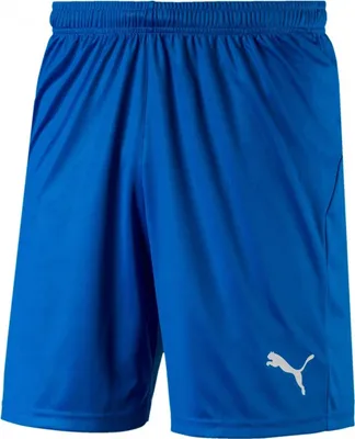 Produktbild von Puma Hosen Liga Shorts Core, 70343602, Größe: 176