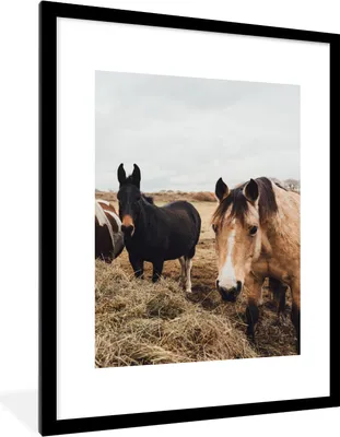 Produktbild von MuchoWow® Gerahmtes Poster Tiere - Pferd 60x80 cm - Poster mit Schwarzem Bilderrahmen Wandposter Rahmen Foto Bilder - Wohnzimmer - Dekorationen - Prämie