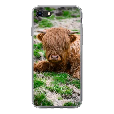 Produktbild von MuchoWow® Handyhülle Schutzhülle Hülle für iPhone 7 Schottischer Highlander - Heu - Gras Silikon Softcase Handy Hülle - Kartenhalter