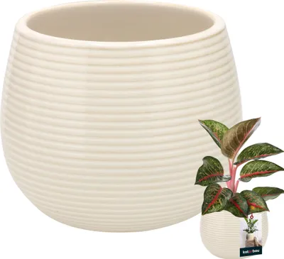 Produktbild von KOTARBAU® Blumentopf Cremefarbe Keramik rund ⌀ 12 cm Höhe 14 cm Glasierte Keramik 1 St. Blumenübertopf groß Übertopf Keramik Pflanztopf Keramik Blumentopf Keramik Pflanzkübel Keramik