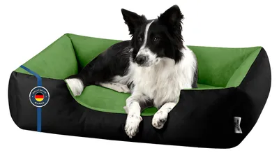 Produktbild von BedDog Hundebett LUPI Hundesofa Hundekissen waschbar,GREEN-FIELD (schwarz/grün),(XL) ca. 100x85x23cm