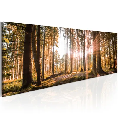 Image de Tableaux muraux représentant une forêt, la nature, des arbres et du soleil, dimensions 135x45 cm, ensemble de 1 pièce – Décoration murale pour chambre, tableaux sur toile, tableaux pour salon, impression sur toile, référence c-B-0077-b-d