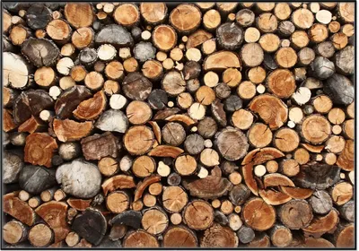 Produktbild von Wallario Wandbild Dunkler Holzstapel rund, Größe: 70,30 x 100,30 cm, Poster mit schwarzem Aluminiumrahmen