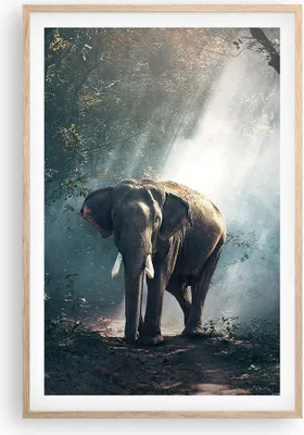 Produktbild von Gerahmtes Poster - Rahmen in heller Eiche - elefant natur - 61x91,5 cm - Wand Bild - Wanddeko - Wandbilder - Kunstposter - Wandposter - Bilderrahmen - Bilder - Kunstdruck - Wandbild - P2NPA61x91-3972