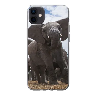 Produktbild von MuchoWow® Handyhülle Schutzhülle Hülle für iPhone 12 mini Elefant - Tiere - Natur - Flachland Silikon Softcase Handy Hülle - Bild