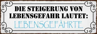 Produktbild von vianmo Holzschild 10x27 cm Lebensgefahr Lebensgefährte Dekoration