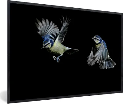 Produktbild von MuchoWow® Gerahmtes Poster Vogel - Federn - Porträt 90x60 cm - Poster mit Schwarzem Bilderrahmen Wandposter Rahmen Foto Bilder - Fotorahmen - Foto-Plakat