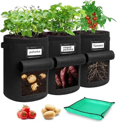 Produktbild von Famanu Pflanzsack für Kartoffeln, 3 Stück, 10 Liter mit Sichtfenster, beschriftbare Pflanzenkarten, schwarz