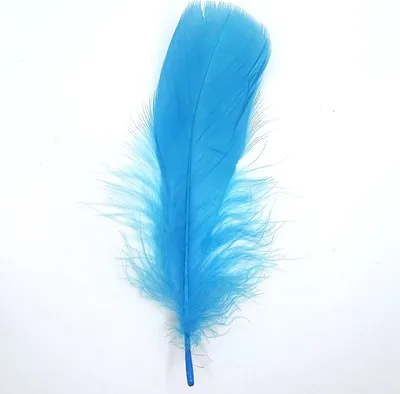 Obrázok produktu pre Husie perie, cca 15-20 cm, 10 kusov, tyrkysové