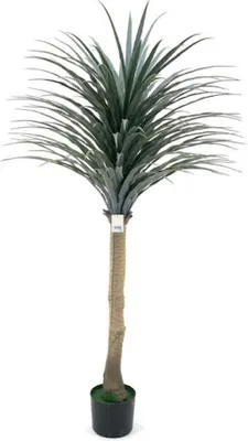 Immagine prodotto di Pianta artificiale Dracena 150H 27 foglie con vaso