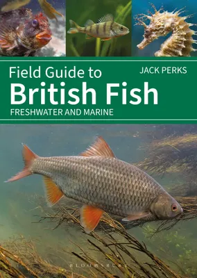Produktbild von Field Guide to British Fish