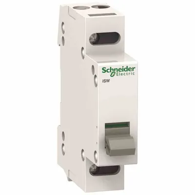Immagine prodotto di Sezionatore Schneider Electric A9S60220