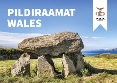 Produktbild von Bilderbuch Wales