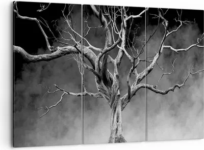 Produktbild von Bild auf Leinwand - Leinwandbild - 3 Teile - Schwarzweiß Äste Rauch - 105x70cm - Wand Bild - Wanddeko - Wandbilder - Leinwanddruck - Bilder - Wanddekoration - Leinwand bilder - CE105x70-4346