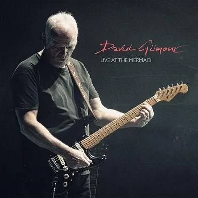 Image de David Gilmour - Live At The Mermaid (2 LP)