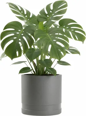 Produktbild von HowHomely | Blumentopf - Pflanzgefäß - grau - B31xH30 cm - Übertopf - Blumenkübel - Dekorativ